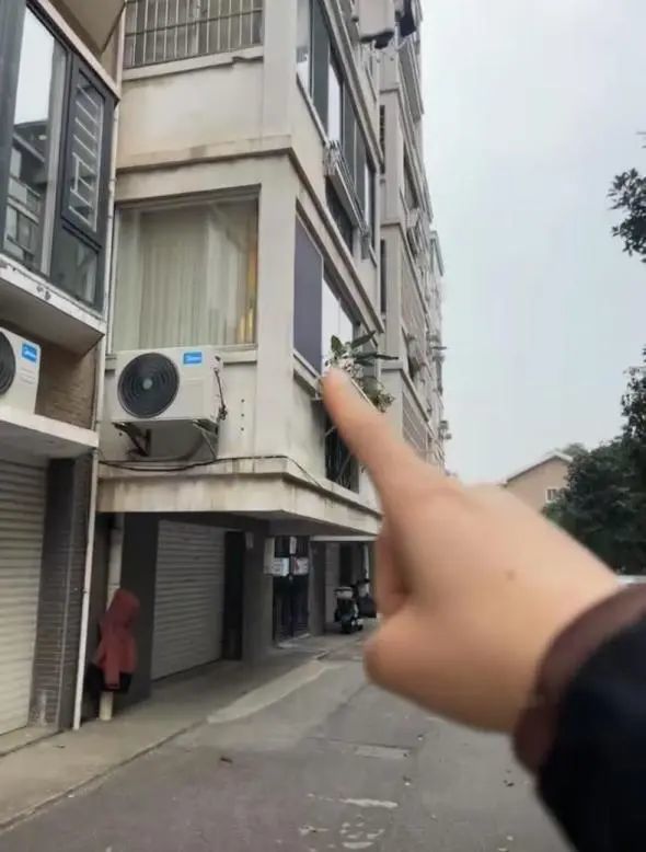 星辉娱乐主管：买高层住宅的人，后悔了